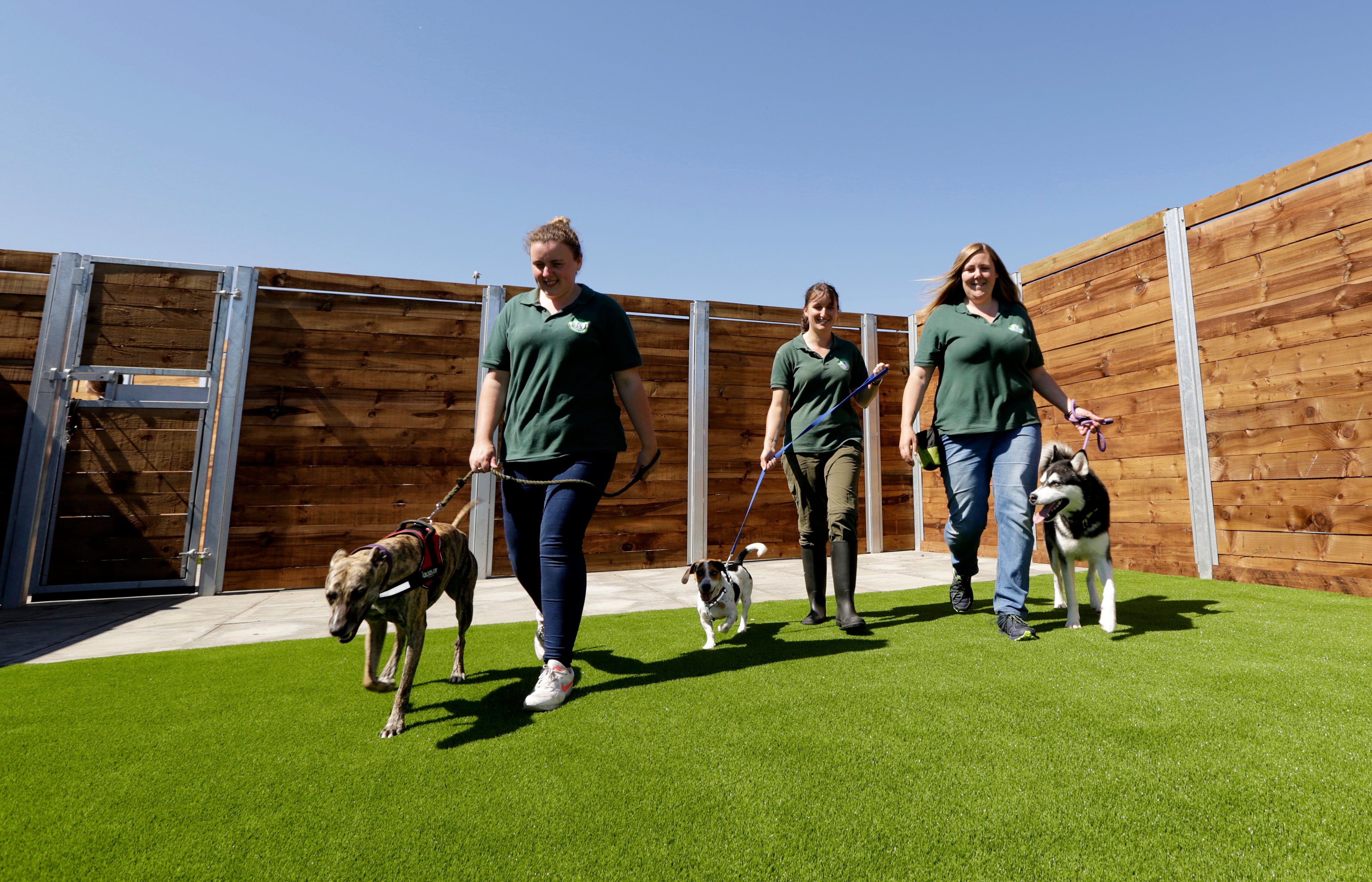 Edinburgh Dog and Cat Home June Update Vegware Community Fund Blog